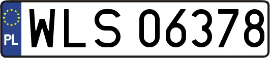 WLS06378