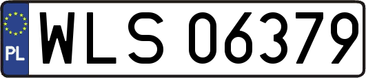 WLS06379