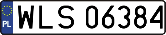 WLS06384