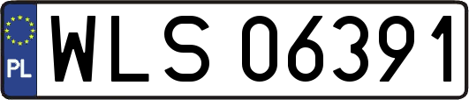 WLS06391