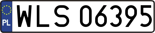 WLS06395