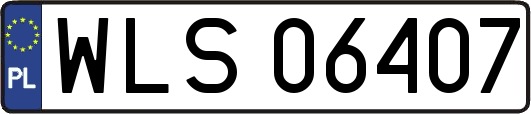WLS06407