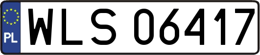 WLS06417