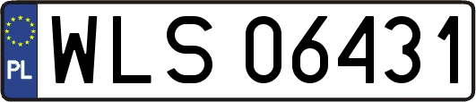 WLS06431