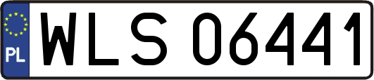WLS06441