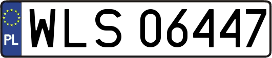WLS06447