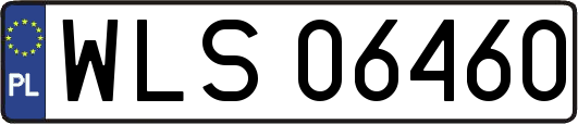 WLS06460