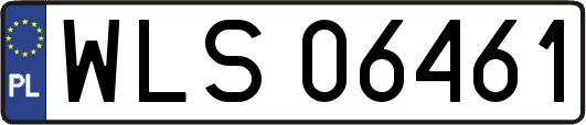 WLS06461