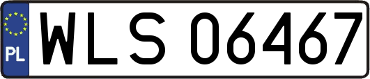 WLS06467
