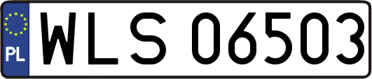 WLS06503