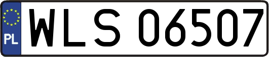 WLS06507