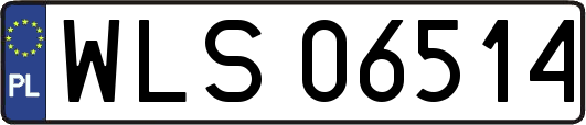 WLS06514