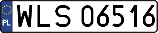 WLS06516