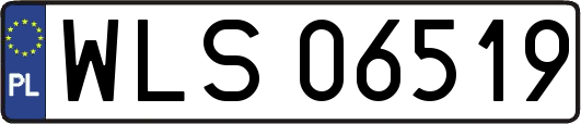 WLS06519