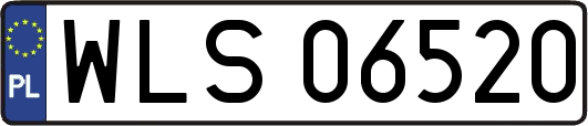 WLS06520