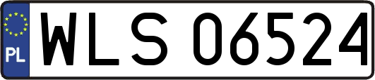 WLS06524