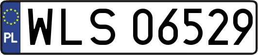 WLS06529