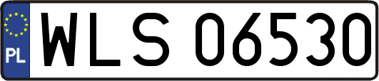 WLS06530