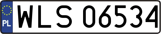 WLS06534