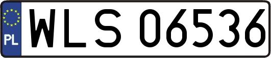 WLS06536
