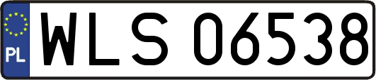 WLS06538