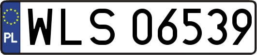 WLS06539