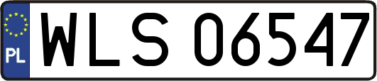 WLS06547