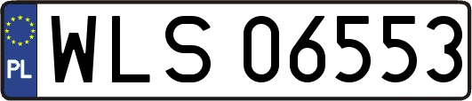 WLS06553