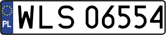 WLS06554