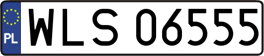 WLS06555