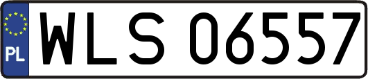 WLS06557