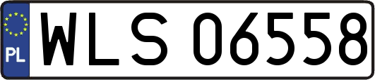 WLS06558