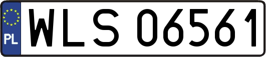 WLS06561