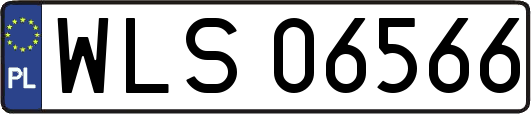 WLS06566