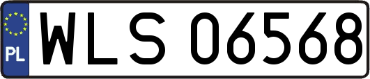 WLS06568