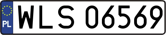 WLS06569