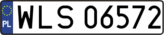 WLS06572