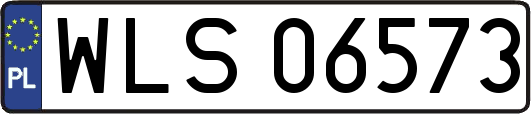 WLS06573