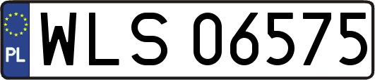 WLS06575