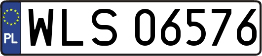 WLS06576