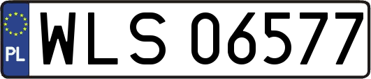 WLS06577