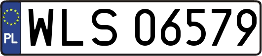 WLS06579
