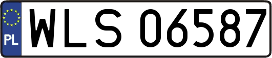 WLS06587