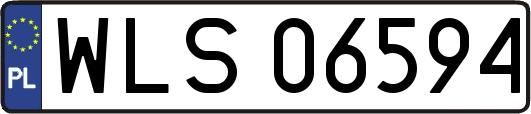 WLS06594