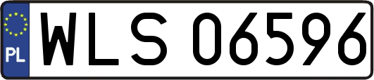 WLS06596