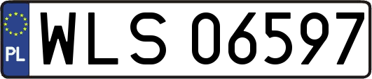 WLS06597