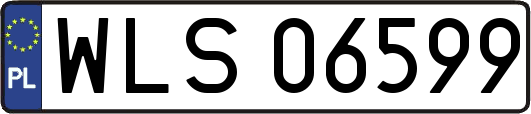 WLS06599