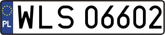 WLS06602