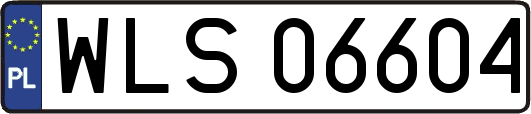 WLS06604