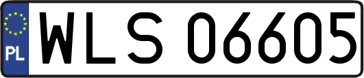 WLS06605